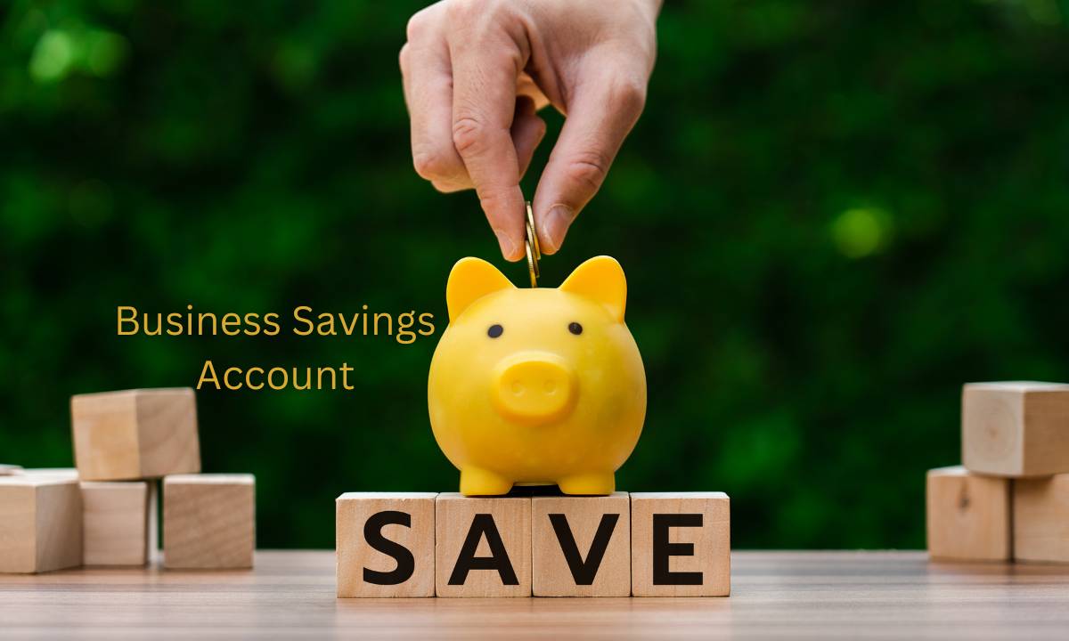 Best Business Savings Account