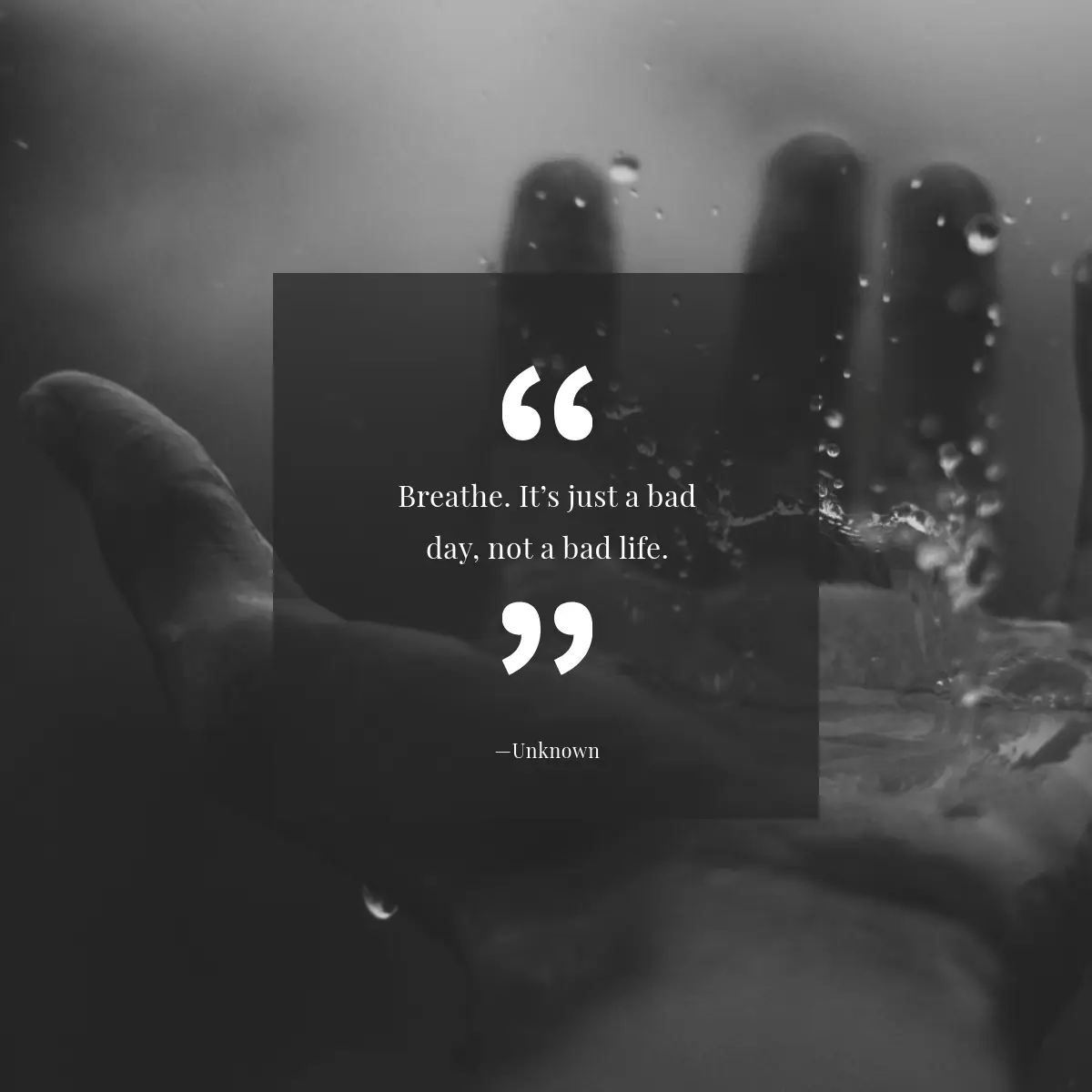 Shareable Quotes