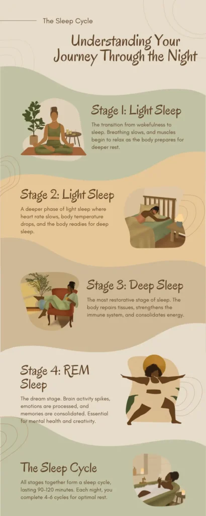 The Sleep Cycle