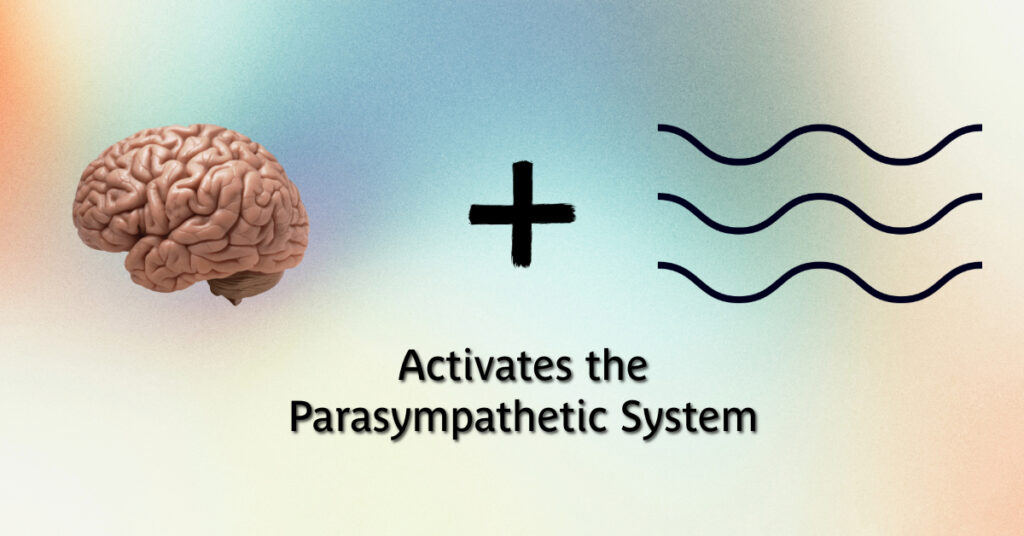 Activates the Parasympathetic System-8