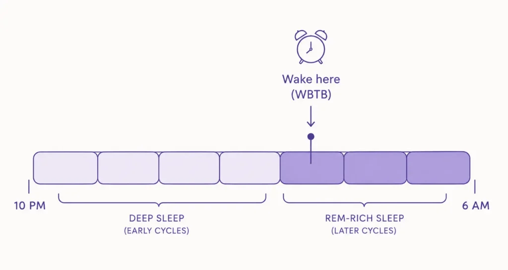 Wake-back-to-bed schedule showing the ideal wake time before the REM-rich final sleep cycle