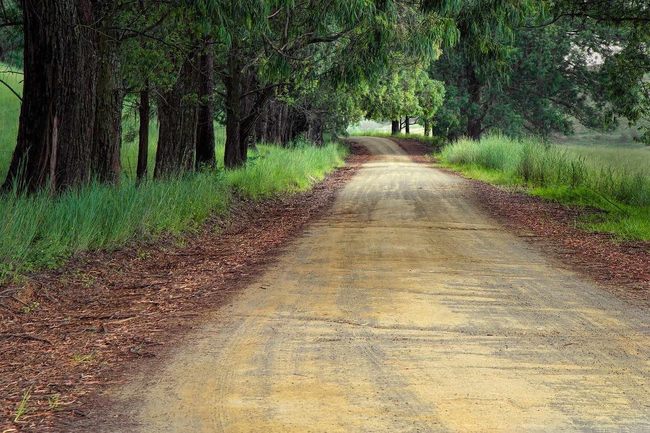 A straight road stretching toward the horizon, symbolizing taking consistent action toward a goal.